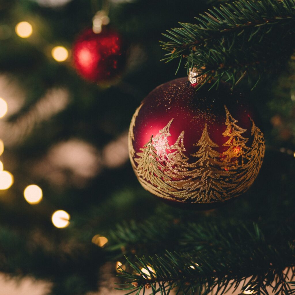 Deslumbra estas Navidades: Los Mejores Tratamientos Estéticos en Clínica Rigo